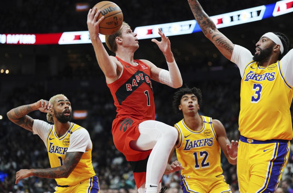 的重要组成 的重要组成